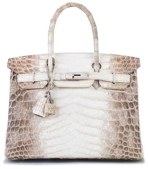 hermes bag with windows|himalayan birkin bag.